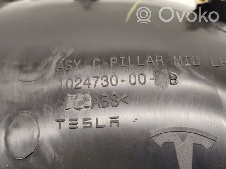 Tesla Model S Verkleidung oben D-Säule 1024730-00-B