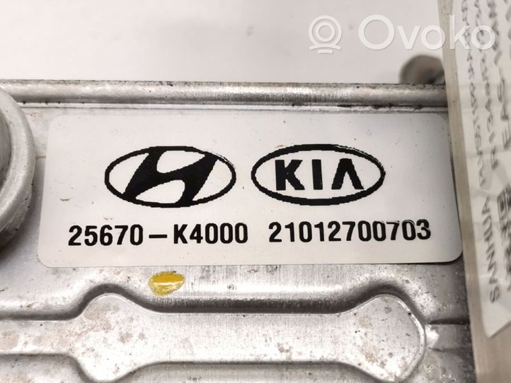 Hyundai Kona I Vaihtoehtoinen jäähdytin 25670-K4000