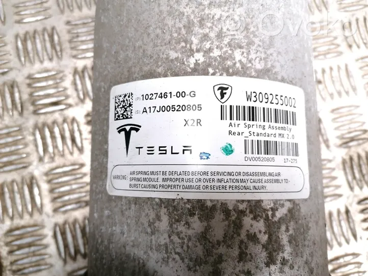 Tesla Model X Ammortizzatore posteriore con molla elicoidale 1027461-00-G