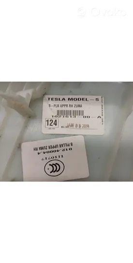 Tesla Model X (B) statņa dekoratīvā apdare (augšdaļa) 1021613-00-A