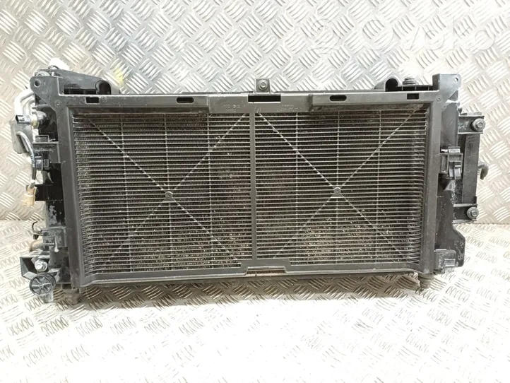 Nissan Leaf I (ZE0) Radiateur de refroidissement 214813NL0B