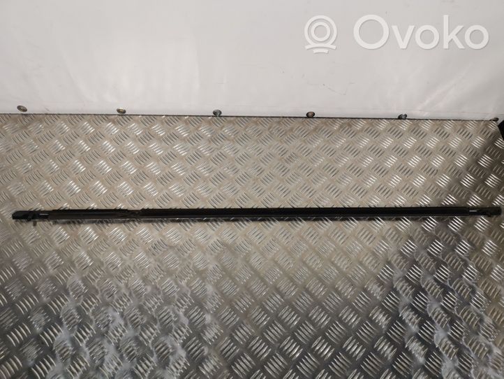 Subaru Outback (BS) Rivestimento modanatura del vetro della portiera anteriore 