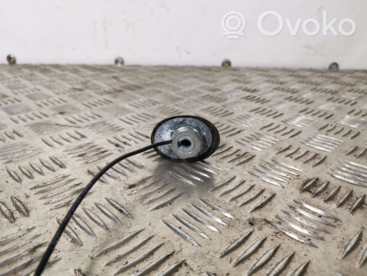 Skoda Yeti (5L) Antenne radio 