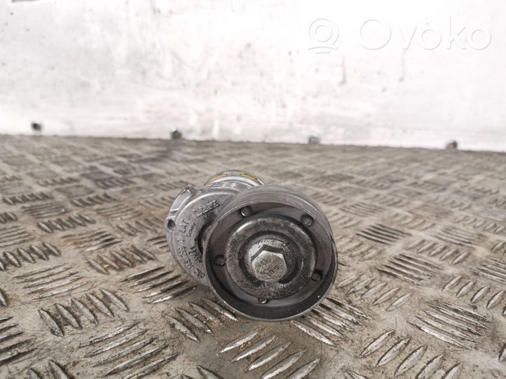 Skoda Yeti (5L) Napinacz paska alternatora 03C145299