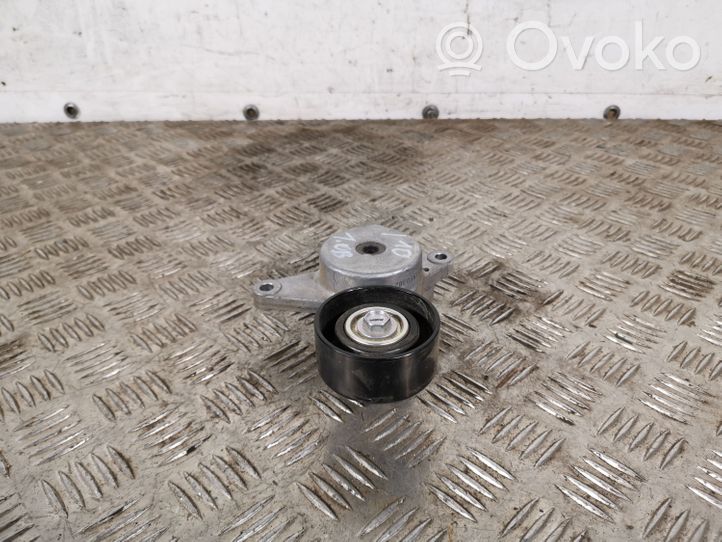 Hyundai i10 Tendicinghia generatore/alternatore 