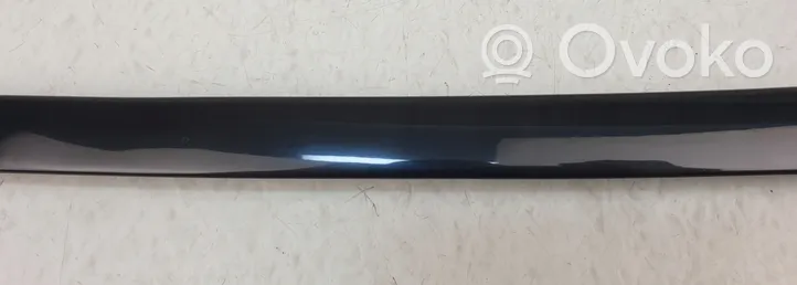 BMW 5 GT F07 Rear door glass trim molding 7196420