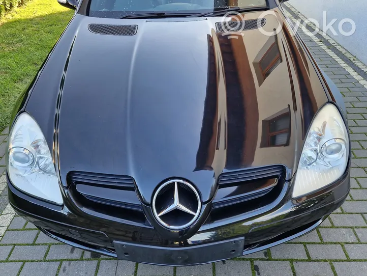 Mercedes-Benz SLK R171 Engine bonnet/hood 