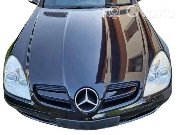 Mercedes-Benz SLK R171 Engine bonnet/hood 