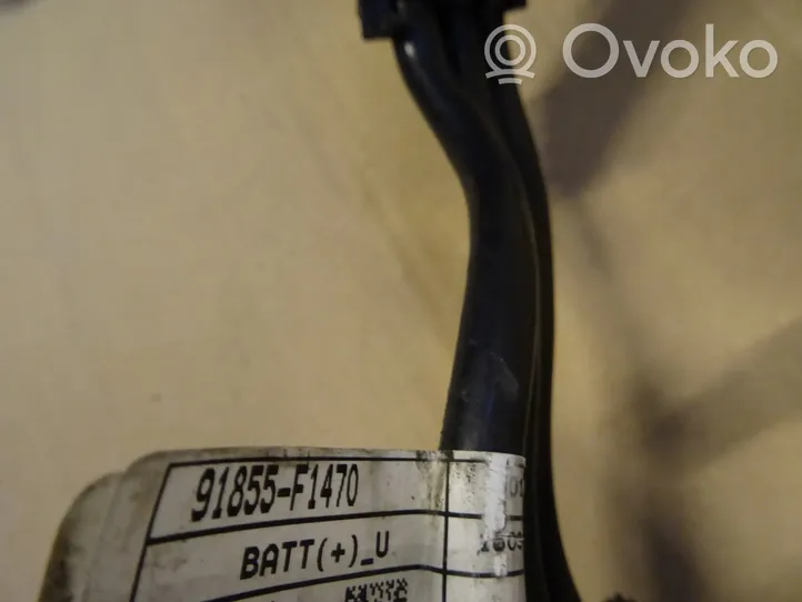 KIA Sportage Negative earth cable (battery) 91855F1310