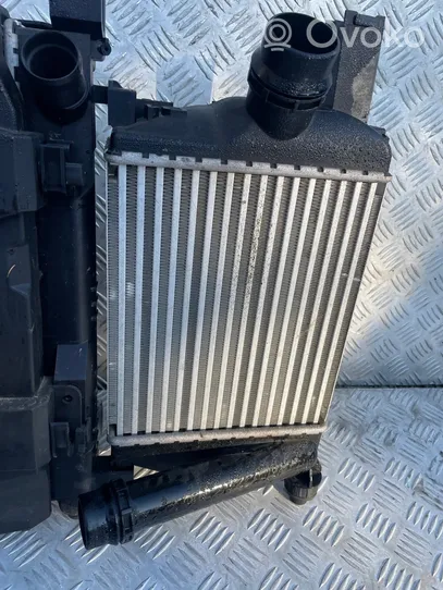 Dacia Lodgy Coolant radiator 