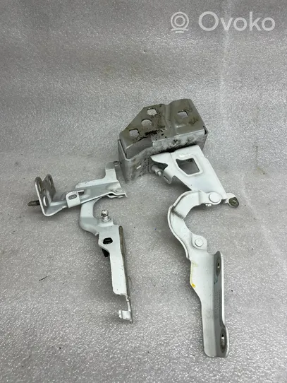 Renault Trafic III (X82) Engine bonnet/hood hinges 