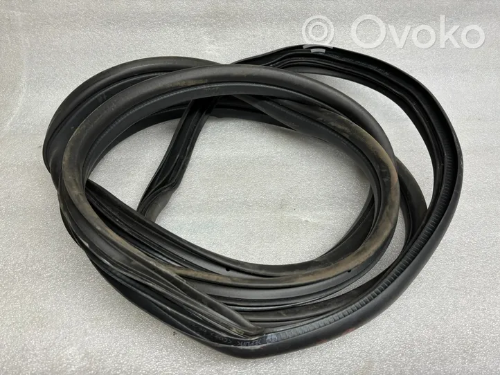 Renault Master III Front door rubber seal 