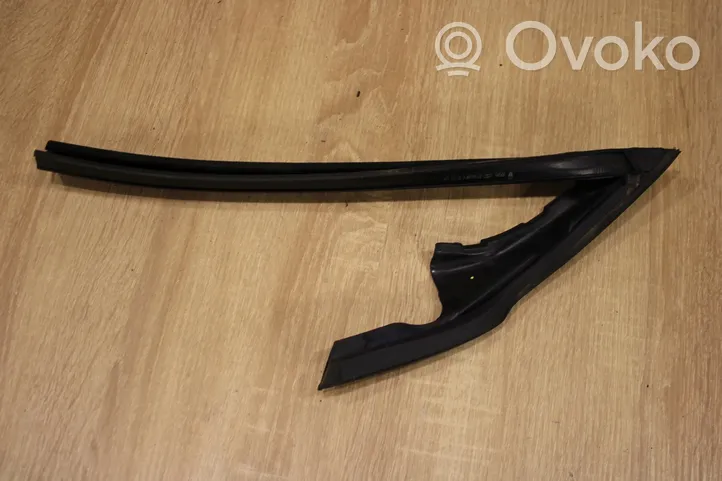 Renault Megane III Front door rubber seal 