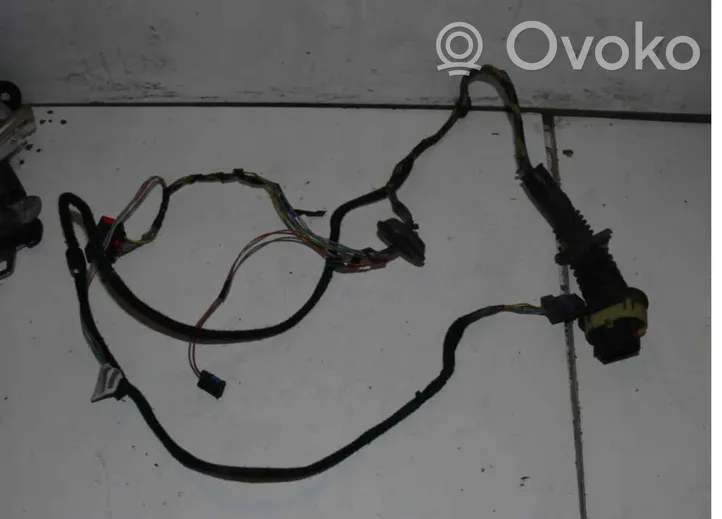 Peugeot 307 Otros cableados 