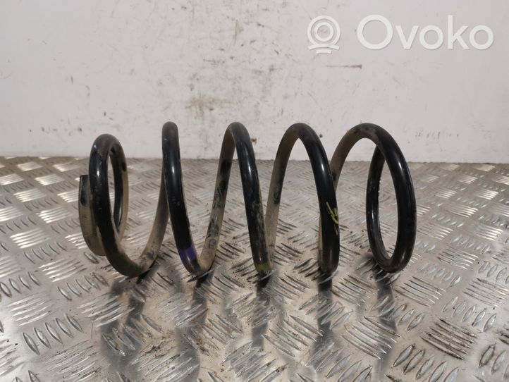 Hyundai Santa Fe Rear coil spring 