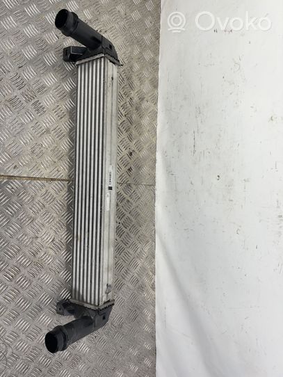 Jeep Cherokee Starpdzesētāja radiators 52014780AB