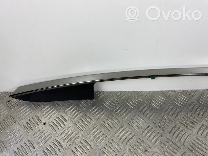 Hyundai Santa Fe Tailgate trim 