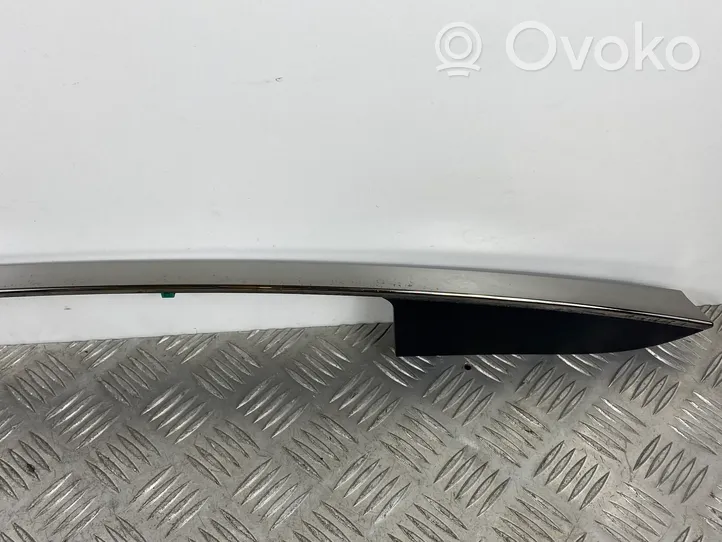 Hyundai Santa Fe Tailgate trim 