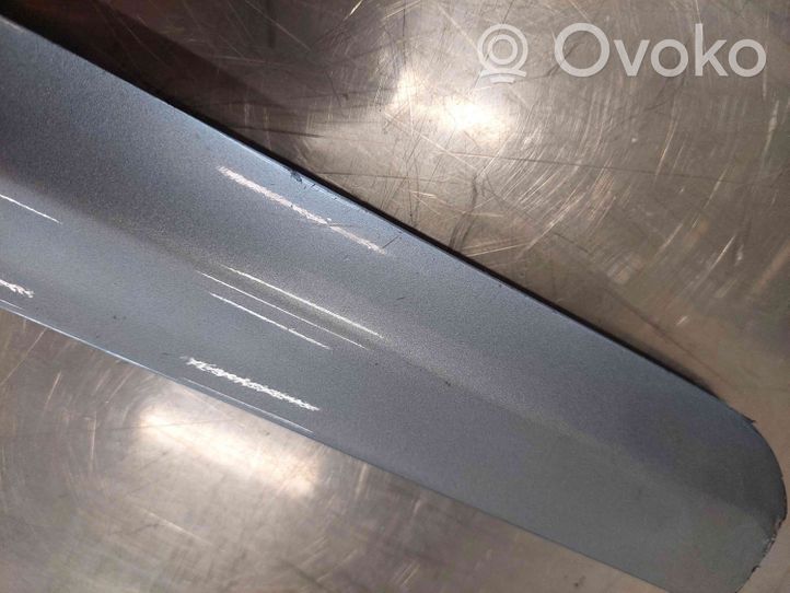 Audi A4 S4 B7 8E 8H Rivestimento della portiera anteriore (modanatura) 8E0853959C