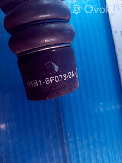 Ford Fiesta Tube d'admission de tuyau de refroidisseur intermédiaire F1B16F075AA