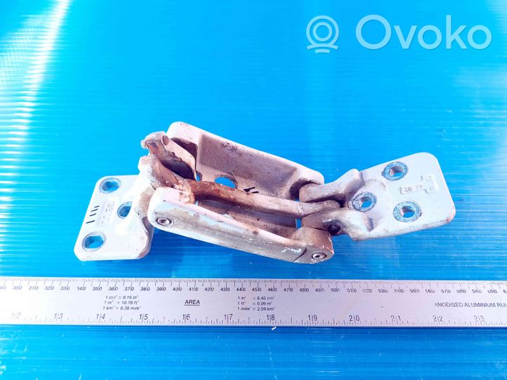 Volkswagen Crafter Rear door lower hinge A9067400237