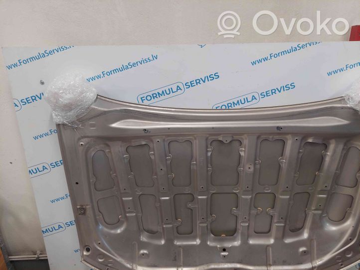 Toyota Land Cruiser (J200) Vano motore/cofano 7456725041