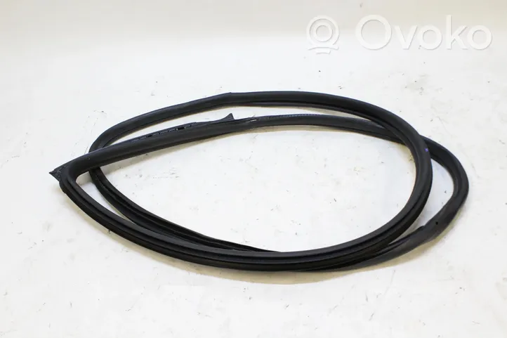 BMW M2 F87 Rubber seal front door (on door) 