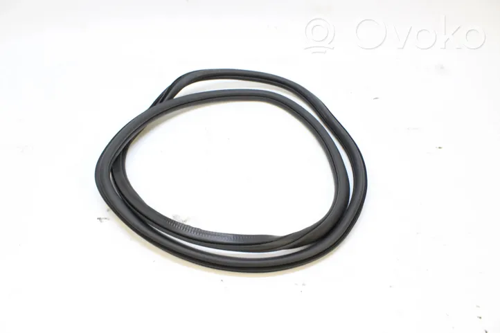 Volkswagen T-Roc Rubber seal front door (on door) 