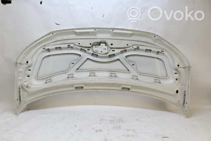 Volkswagen Transporter - Caravelle T6 Engine bonnet/hood 