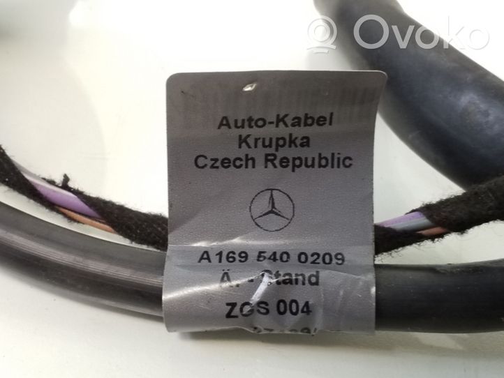 Mercedes-Benz B W245 Câble de batterie positif A1695400209