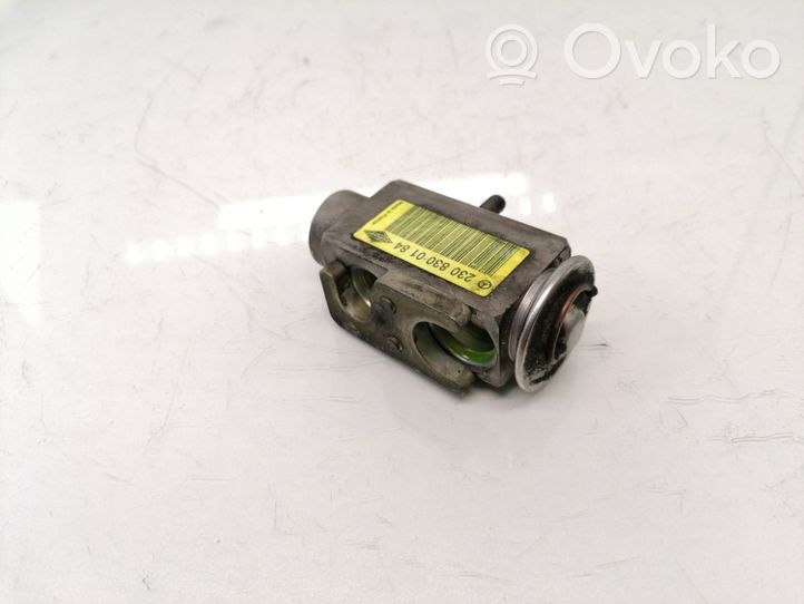 Mercedes-Benz S W220 Air conditioning (A/C) expansion valve 2308300184