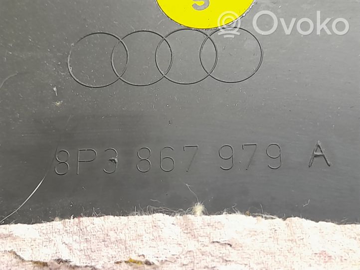 Audi A3 S3 A3 Sportback 8P Garnitures hayon 8P3867979A