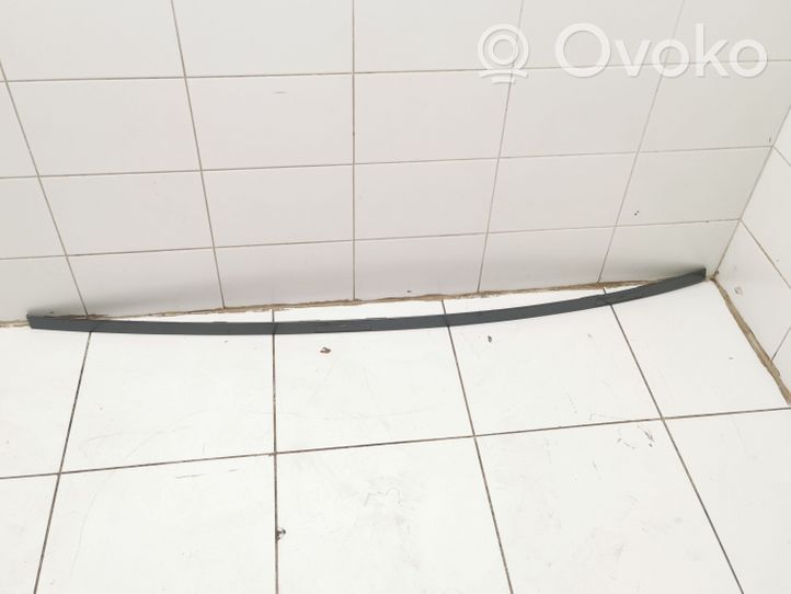 Citroen C6 Roof trim bar molding cover 