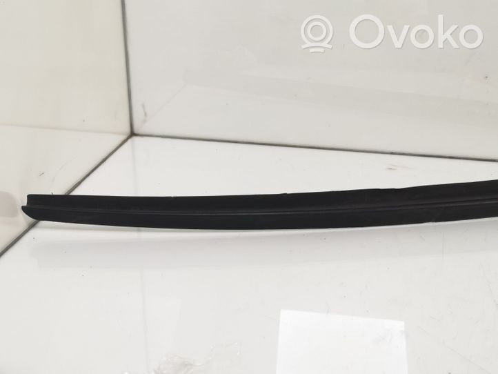 Citroen C6 Windshield trim 