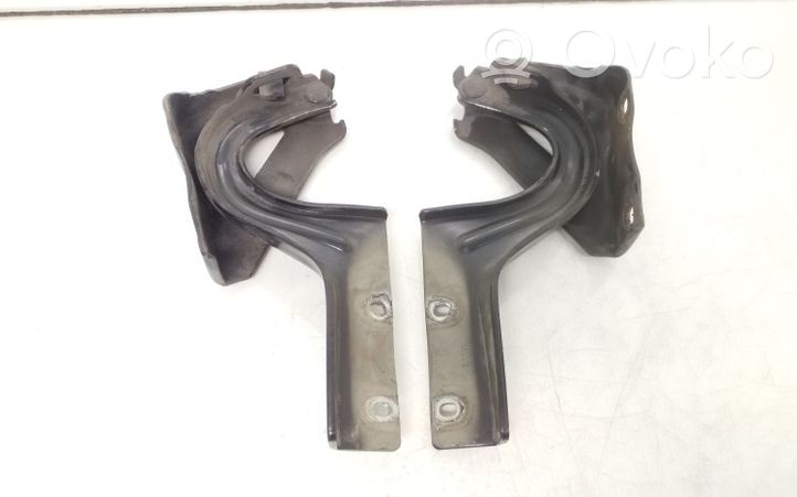 Opel Combo D Engine bonnet/hood hinges 