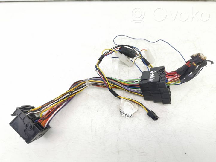 Volkswagen PASSAT B6 Sound system wiring loom 12417662