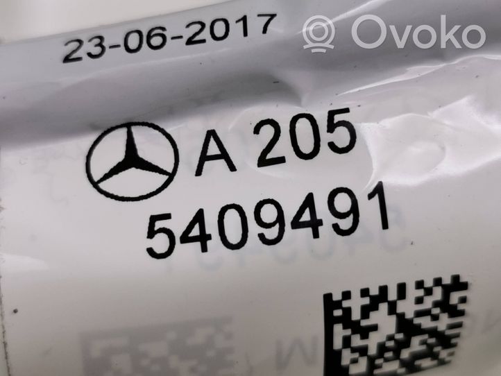 Mercedes-Benz EQC Etuoven johtosarja A2055409491