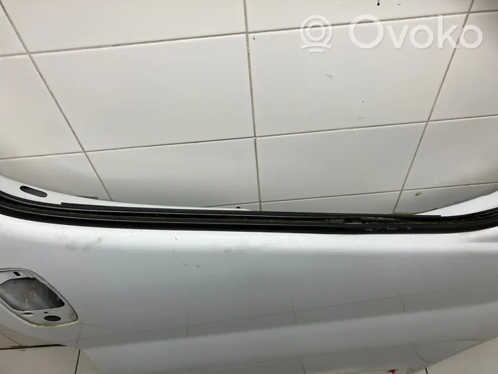 Opel Vivaro Priekinės durys (dvidurio) 