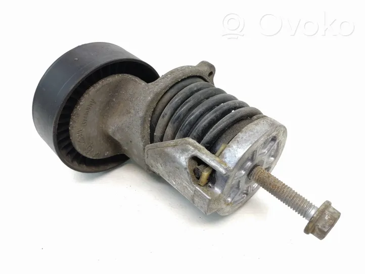 Volkswagen PASSAT B7 Tendicinghia generatore/alternatore 038903315