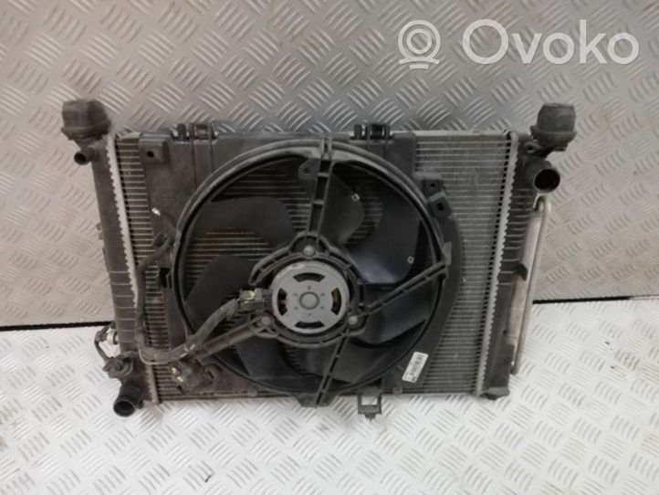 Renault Clio III Kit Radiateur 