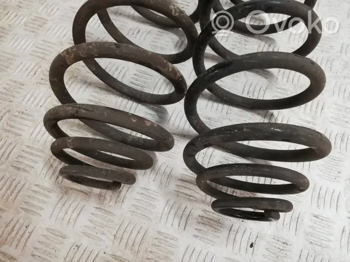 Renault Kangoo II Rear coil spring 