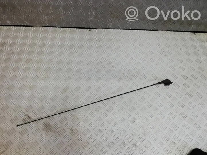 Dacia Sandero Radio antenna 