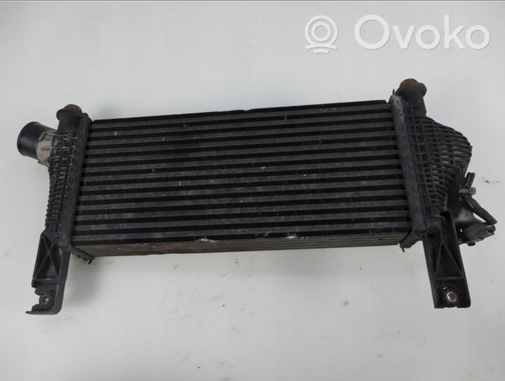 Nissan Pathfinder R51 Radiatore intercooler 14461-5X00A