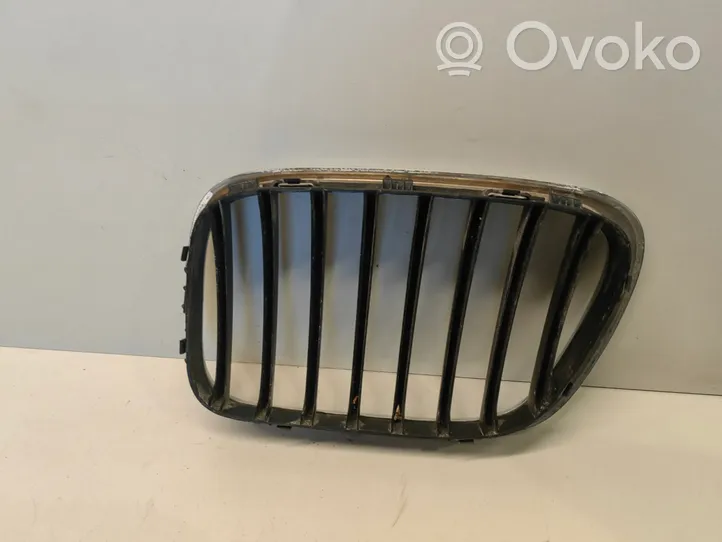 BMW X5 E53 Atrapa chłodnicy / Grill 51138247674