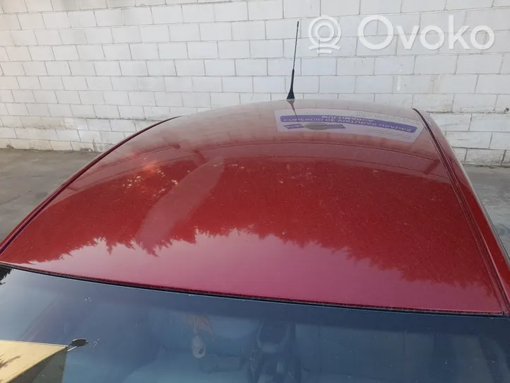 Volkswagen New Beetle Roof 