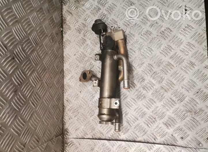 Audi A4 S4 B7 8E 8H Valvola di raffreddamento EGR 