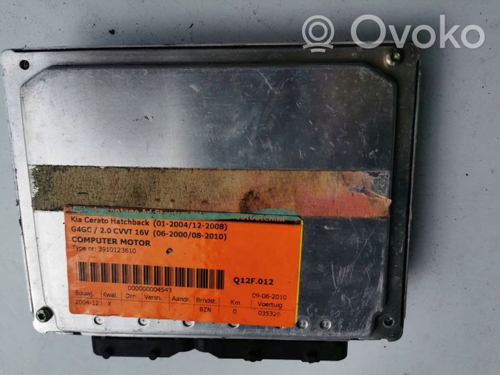 KIA Cerato Kit calculateur ECU et verrouillage 39101-23610