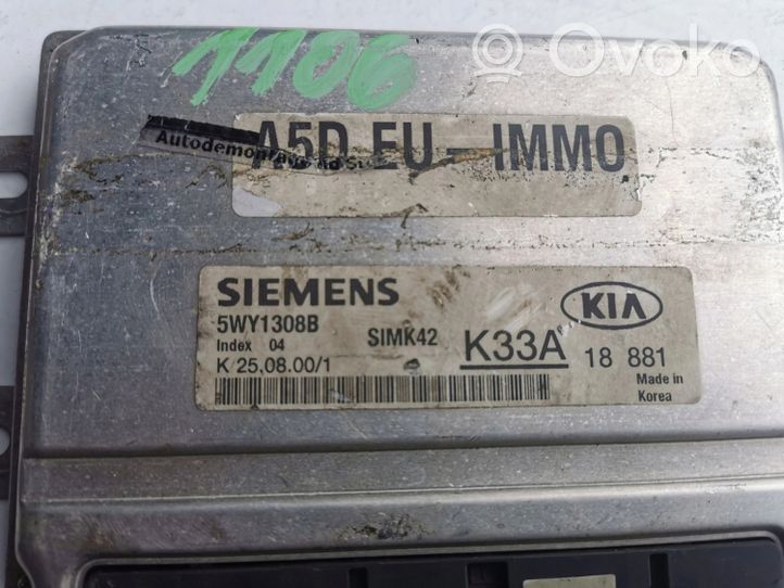 KIA Rio Kit calculateur ECU et verrouillage 5WY1308B