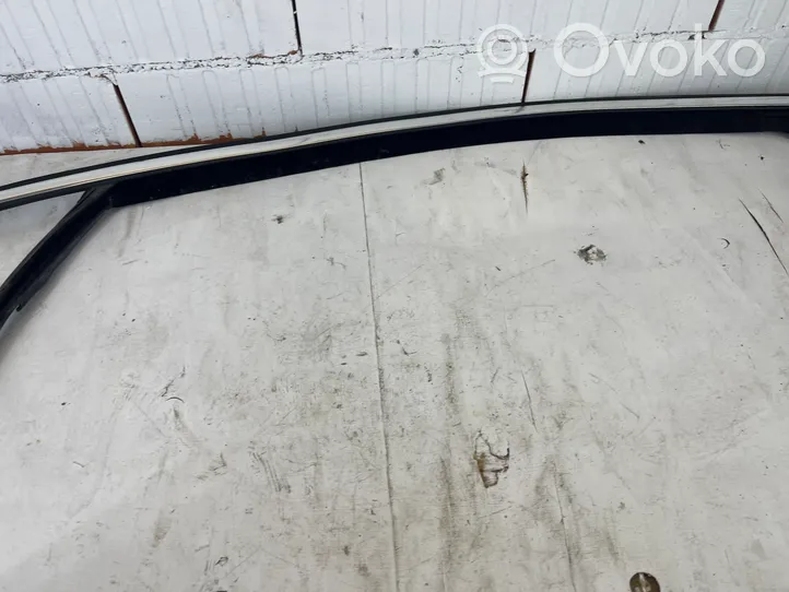 Opel Insignia A Rubber seal front door window/glass 13228086