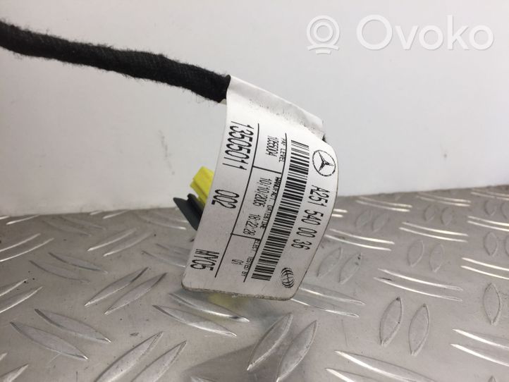 Mercedes-Benz R W251 Airbag del passeggero A2518600805